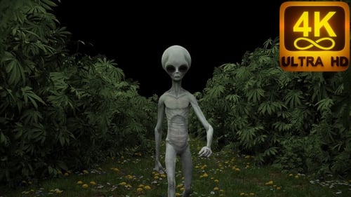 Extraterrestrial creature walking inside weed forest Ufo Body Trippy Vj loop Matte Background 3D