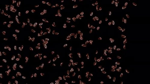 Realistic Coffee Beans Falling Animated Background