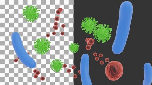 3D Animation of Gut Bacteria Animation | Alpha Channel