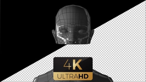Futuristic 3D Wireframe Human Head Reveal