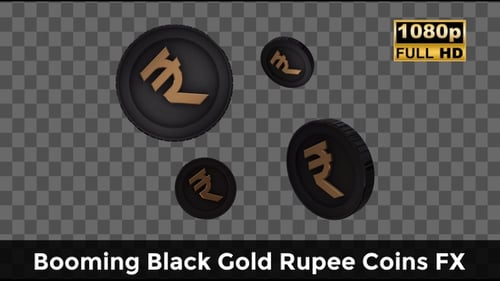 Pièces en roupie en or noir en plein essor FX — Indian Wealth Blast Elements
