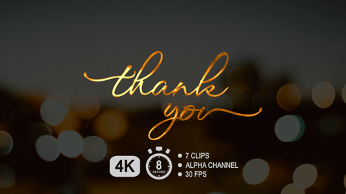 Animated Thank You Cursive Text in Gold and Color Variants
