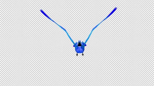 Phoenix Bird - Cyan Blue - Flying Loop - Front View