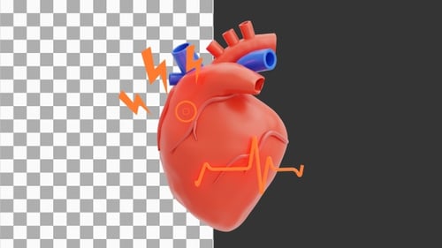 3D Heart Attack | Alpha Channel