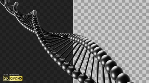 ADN giratorio en 3D | Alpha Channel