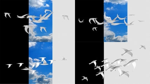 Minimalist White Birds Flying Loop Animation