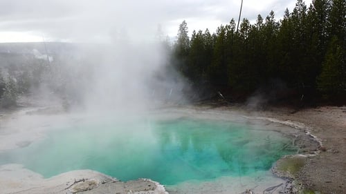 Formations géothermiques et piscines colorées du parc national de Yellowstone. La vapeur monte.