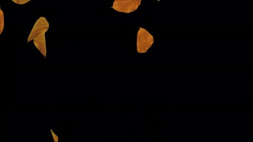 Hojas de arce otoñales abstractas cayendo.