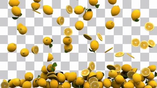 Lemons Falling and Piling Up Alpha Channel