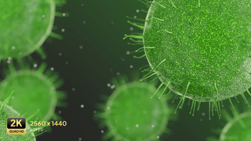 Microscopic Virus Cells