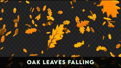 Hojas de roble cayendo | Hojas de otoño
