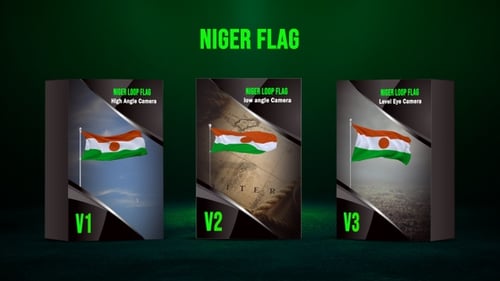 Waving Niger Flag Loop Animation with Alpha Channel