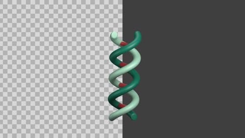 Animated 3D Rotating DNA Double Helix