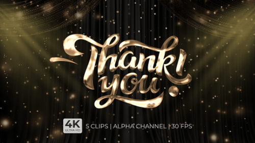 Elegant Fluid Metallic Thank You Text Reveal