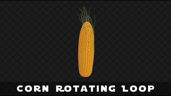 Corn Rotating Loop, Backgrounds Motion Graphics ft. corn & maize - Envato