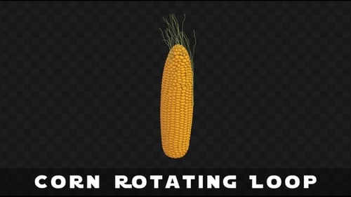 Corn Rotating Loop