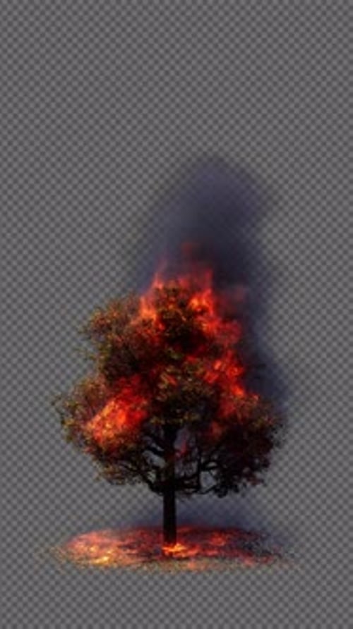 Autumn Tree Engulfed in Flames
