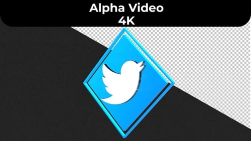 Modern 3D Spinning Diamond Social Media Logo