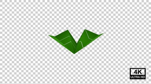 Paper Airplane Of Ladonia Flag V3
