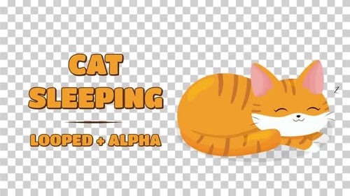 Animated Looped Sleeping Cat on Transparent Background