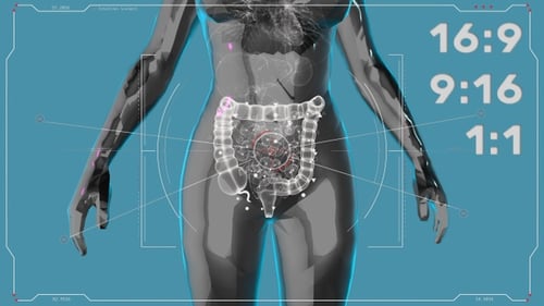 Futuristic Human Body Intestines Holographic Medical Scan UI