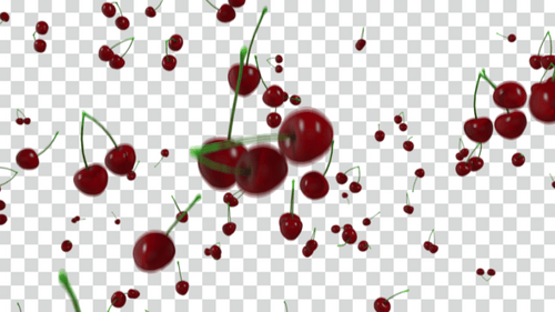 CherryDelight Animation: Stunning 4K Visuals with Alpha Transparency