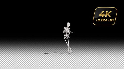 3D Skeleton Dancing Hip-Hop |Alpha channel