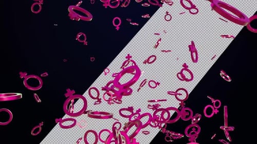 Seamless Loop of Pink Female Gender Symbols with Alpha Channel