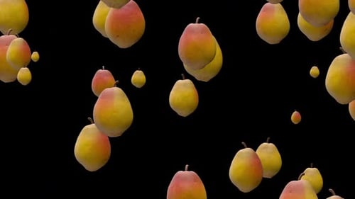 Realistic Pears Falling with Alpha Channel
