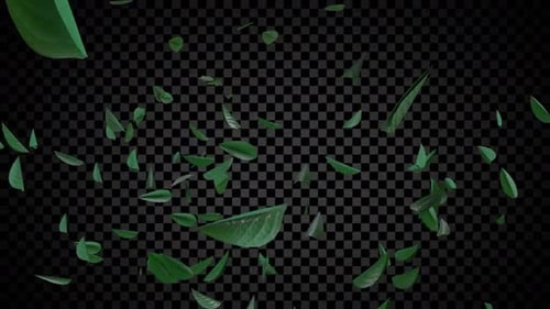 Nature Inspired Falling Leaves Overlay