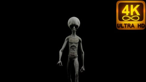 Mysterious Grey Alien Creature in Dark Space