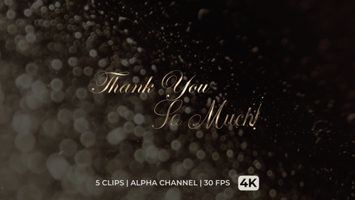 Elegant Thank You So Much Calligraphy Reveal Animation