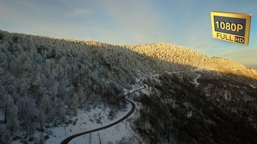 Aerial Winter Forest-12