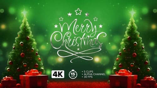 Merry Christmas Calligraphy Reveal Animation with Stars