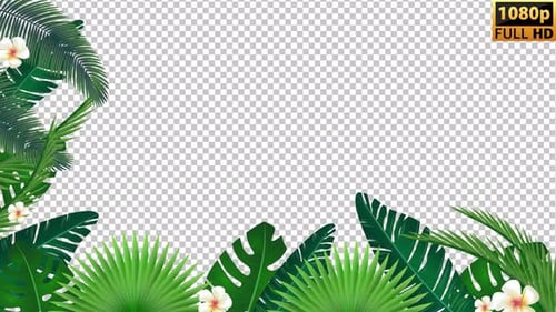 Tropical Background | Alpha Channel