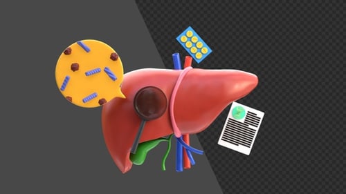 3D Liver Disease | Alpha Channel