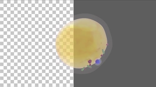 3D Fat Cells | Alpha Channel