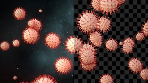 Coronaviridae With Alpha Channel