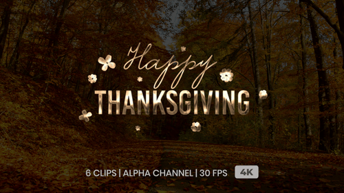 Happy ThanksGiving Text Animation