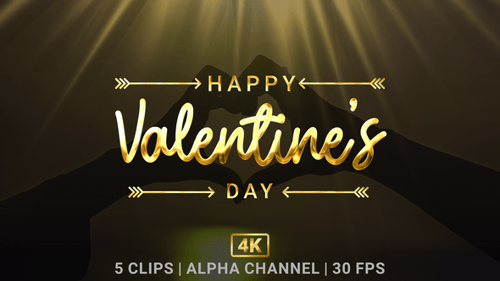Happy Valentine's Day Gold Metallic Text Reveal Animation