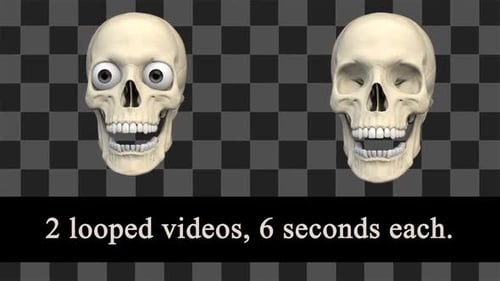 Skull сhatters His Teeth Loops Pack