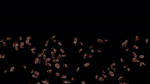Brown roasted coffee beans falling on pile Green Screen Loop Animation Background.