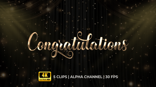 Elegant Gold Congratulations Text Reveal with Glitter Particles