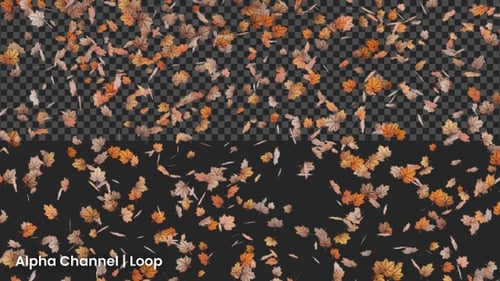 3D Autumn Leaves Falling Animation | Alpha Loop