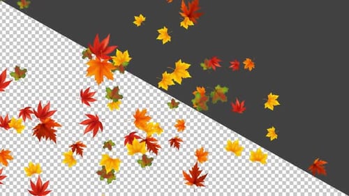 Herbstlaub Alpha Full HD