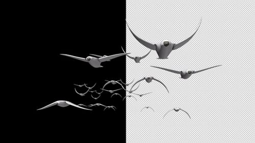 Flying Bird Front View V.3