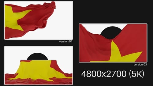 Pack de banderas de Vietnam en Alpha