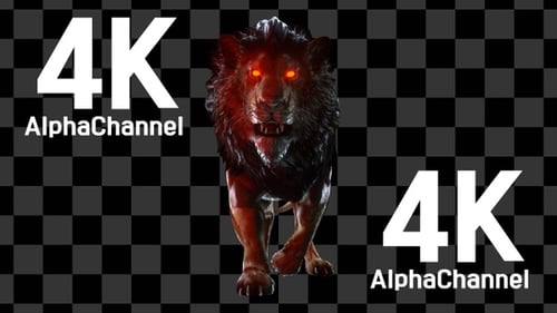 Lion Walk Front View Loop 4 K Alpha