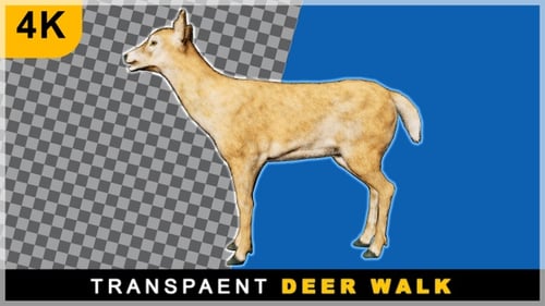 Realistic Walking Deer Animation for Wildlife Videos