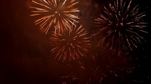 Bestes schönes Farbfeuerwerk mit dunkelschwarzem Nachthimmel im Hintergrund.